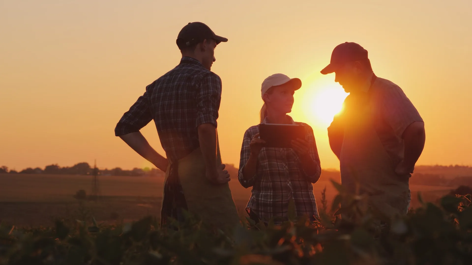 agCOMMANDER pricing overview