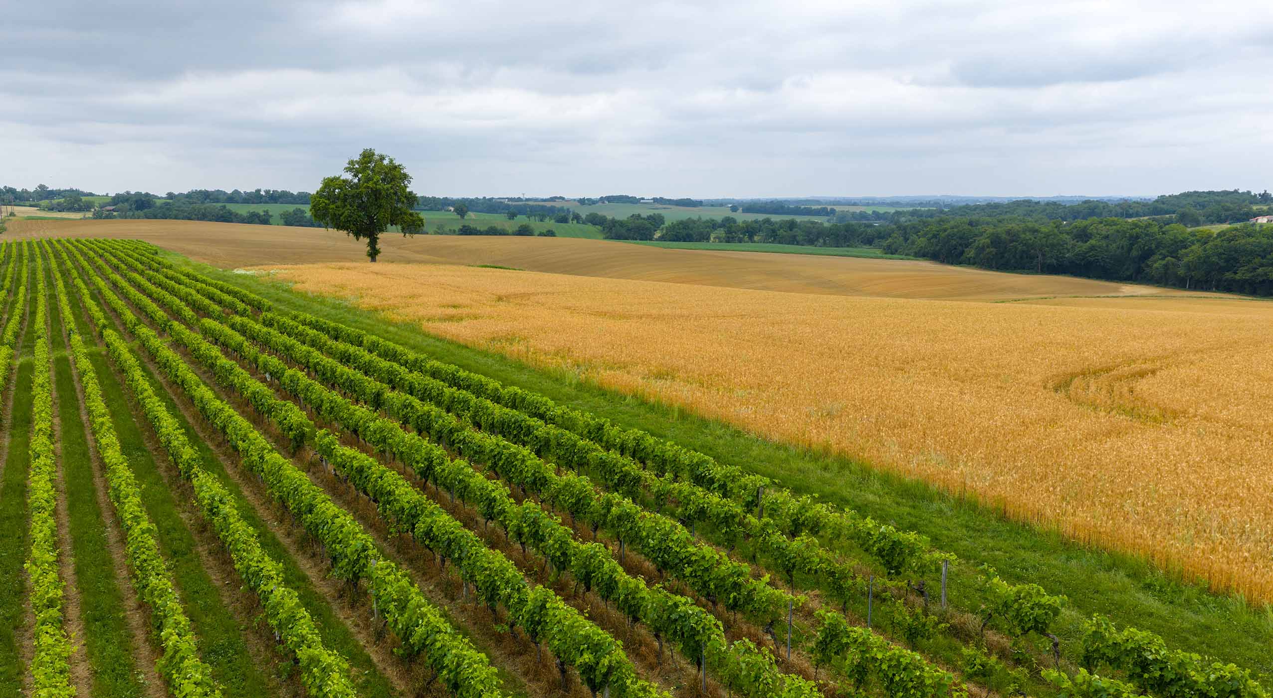 Cropping module overview