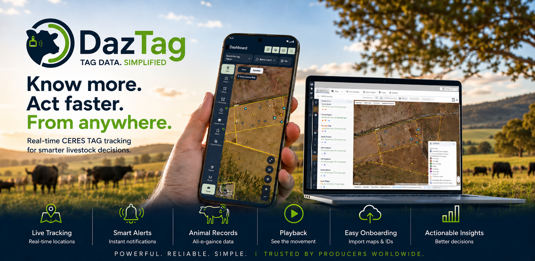 DazTag desktop and mobile apps showing live CERES TAG livestock tracking