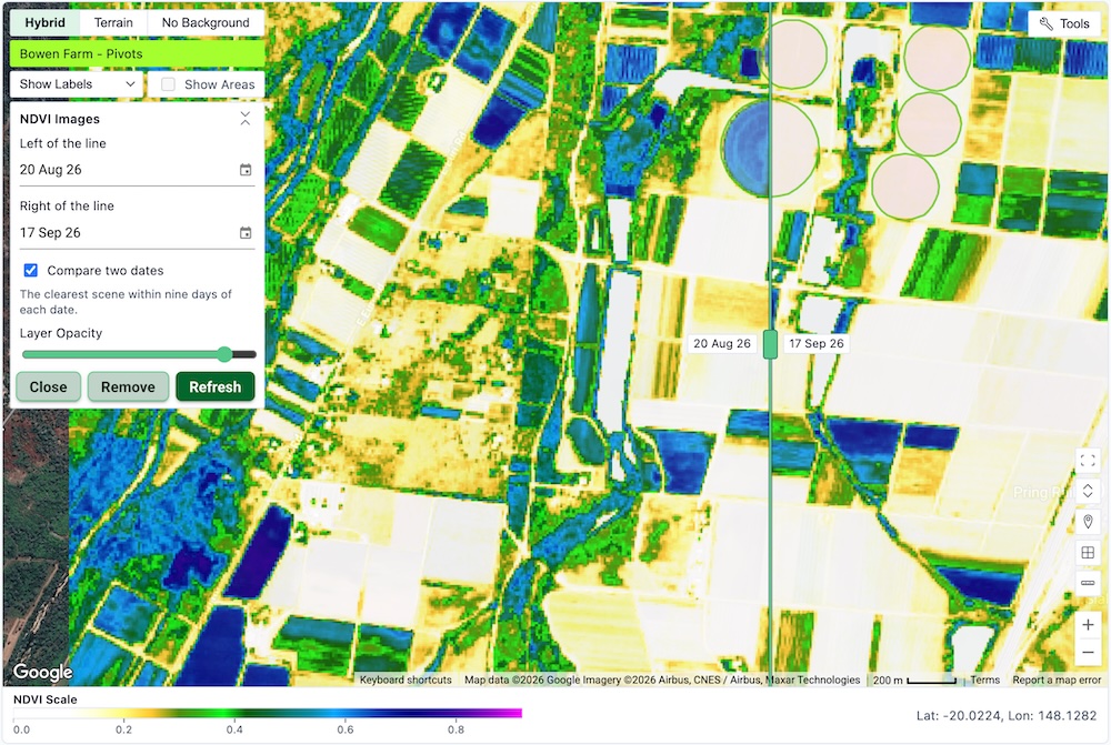 Compare NDVI imagery over time
