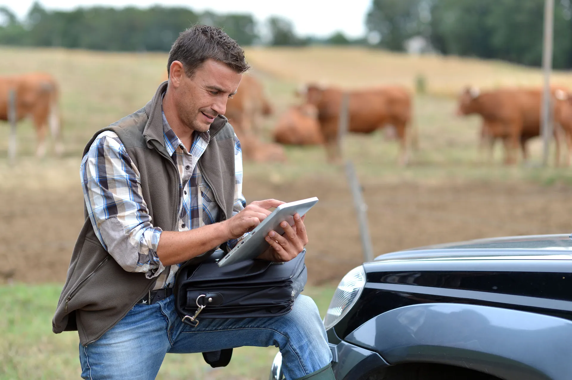 Livestock records and reporting in agCOMMANDER