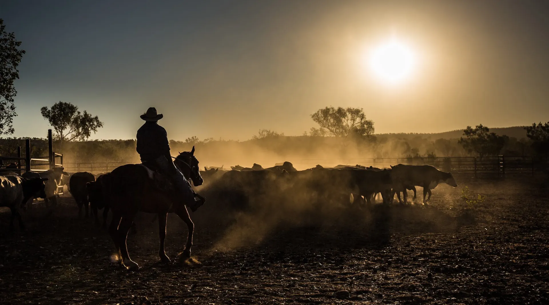Livestock management with agCOMMANDER