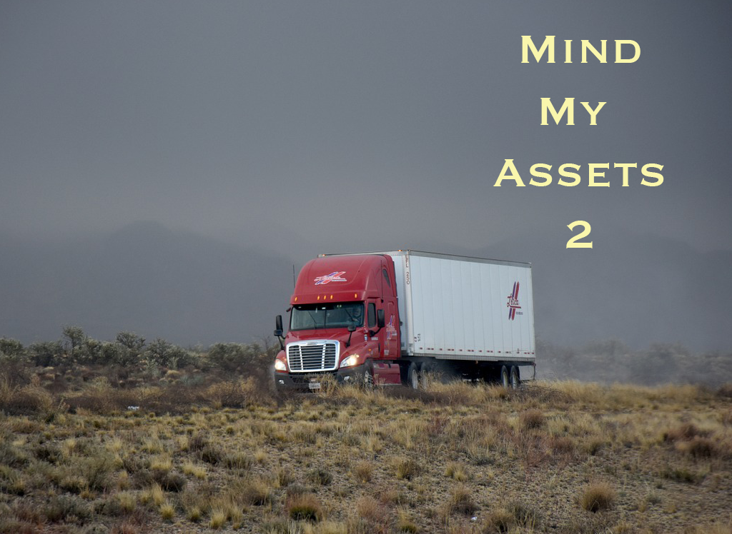Mind My Assets mobile application