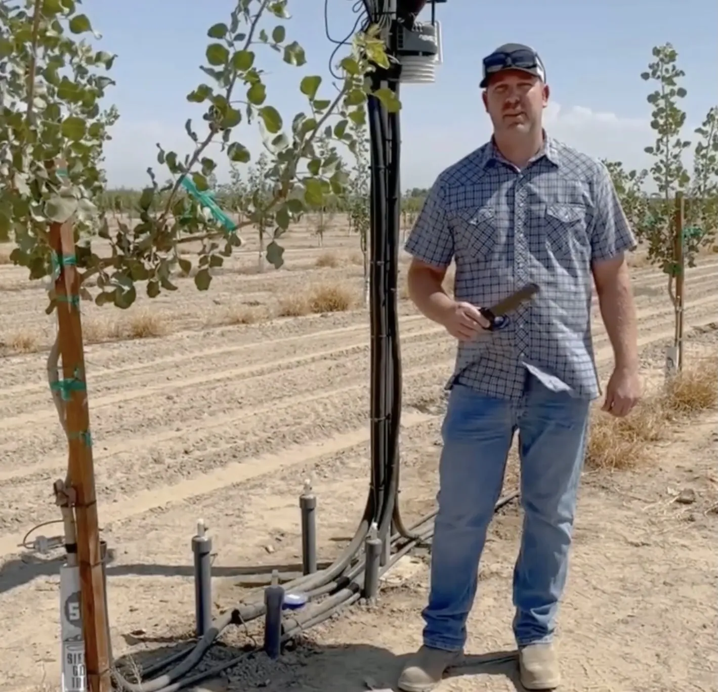 In-Crop Weather Station and Data Logger